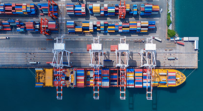 Manufacturer & exporter